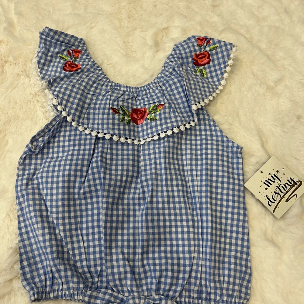 Blue Gingham Top with Floral Embroidery
